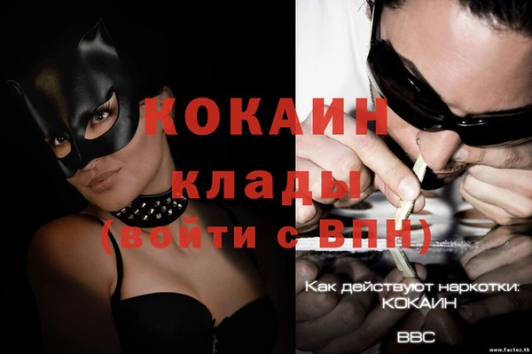 трава Лабытнанги