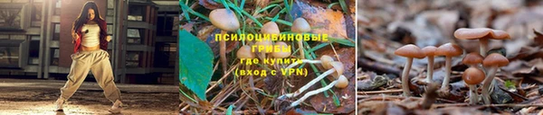 соль курить ск Ладушкин