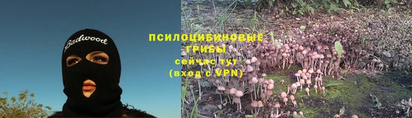 трава Лабытнанги